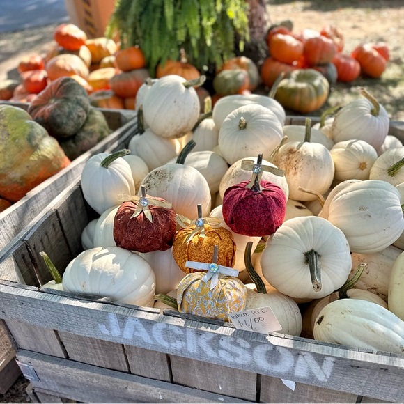 Pumpkin Decor - Picture 10 of 12
